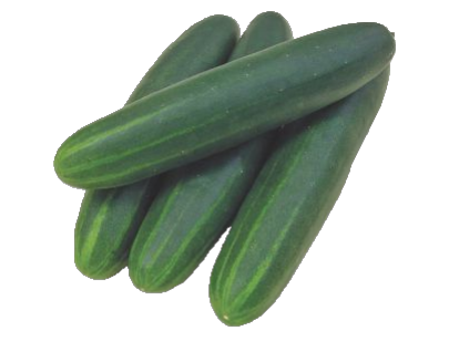 Cucumber
