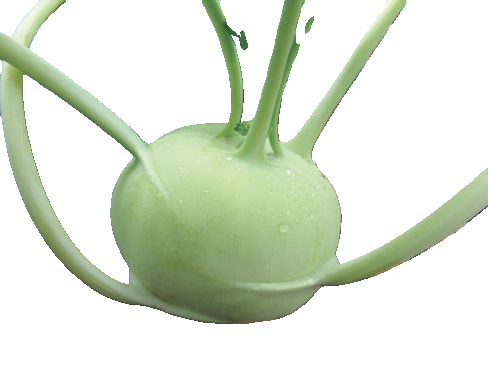 Kohlrabi