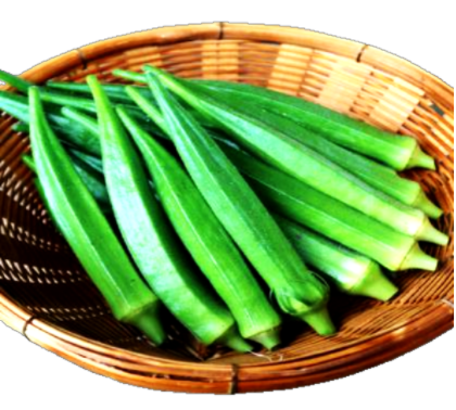 Okra
