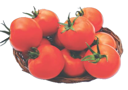 Tomato
